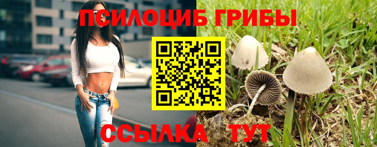 Псилоцибиновые грибы Magic Shrooms  Вход с VPN  Галлюциногенные грибы Psilocybe  Новокуйбышевск 